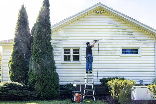 Animal Enclosure Cleaning in Highland, MD